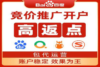 SEM代运营经典案例解析与启示